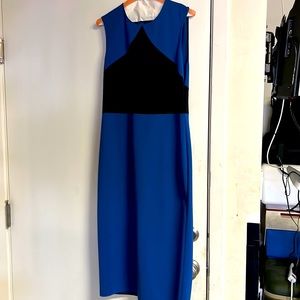 Diane von Furstenberg sleeveless stretchy sheath.
